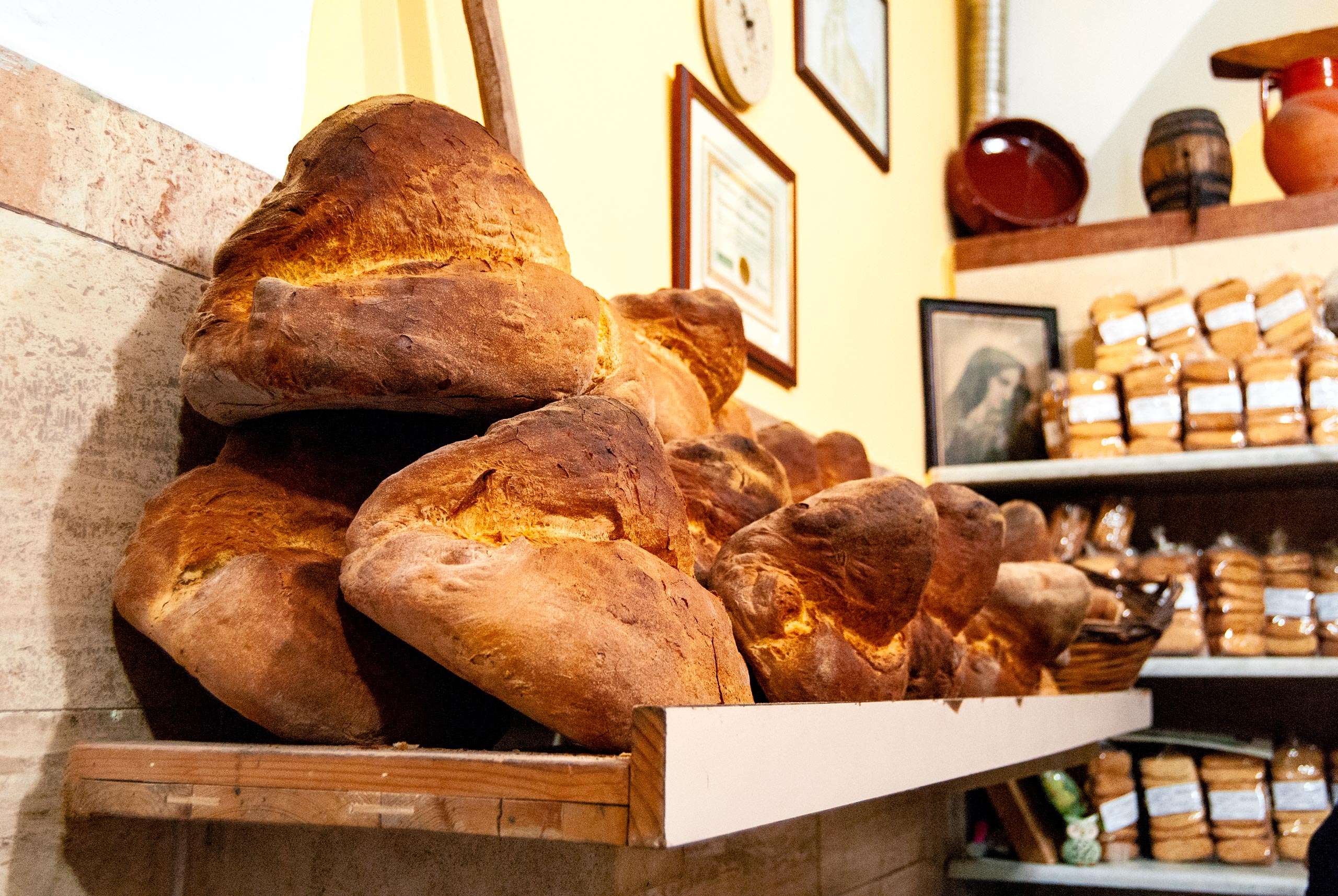 Loaf of bread made in Altamura, Alta Murgia National Park