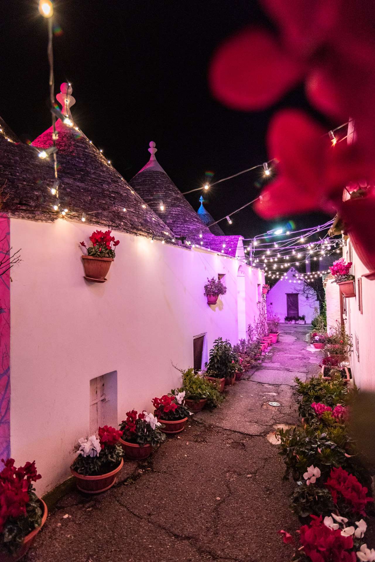 Christmas lights in Puglia, a narrow street of Alberobello