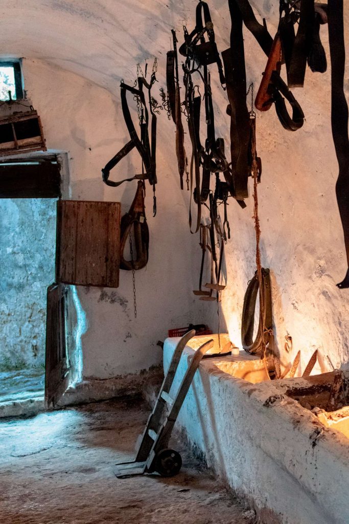 Horse equipment in the stable at Masseria Spina Resort in Puglia