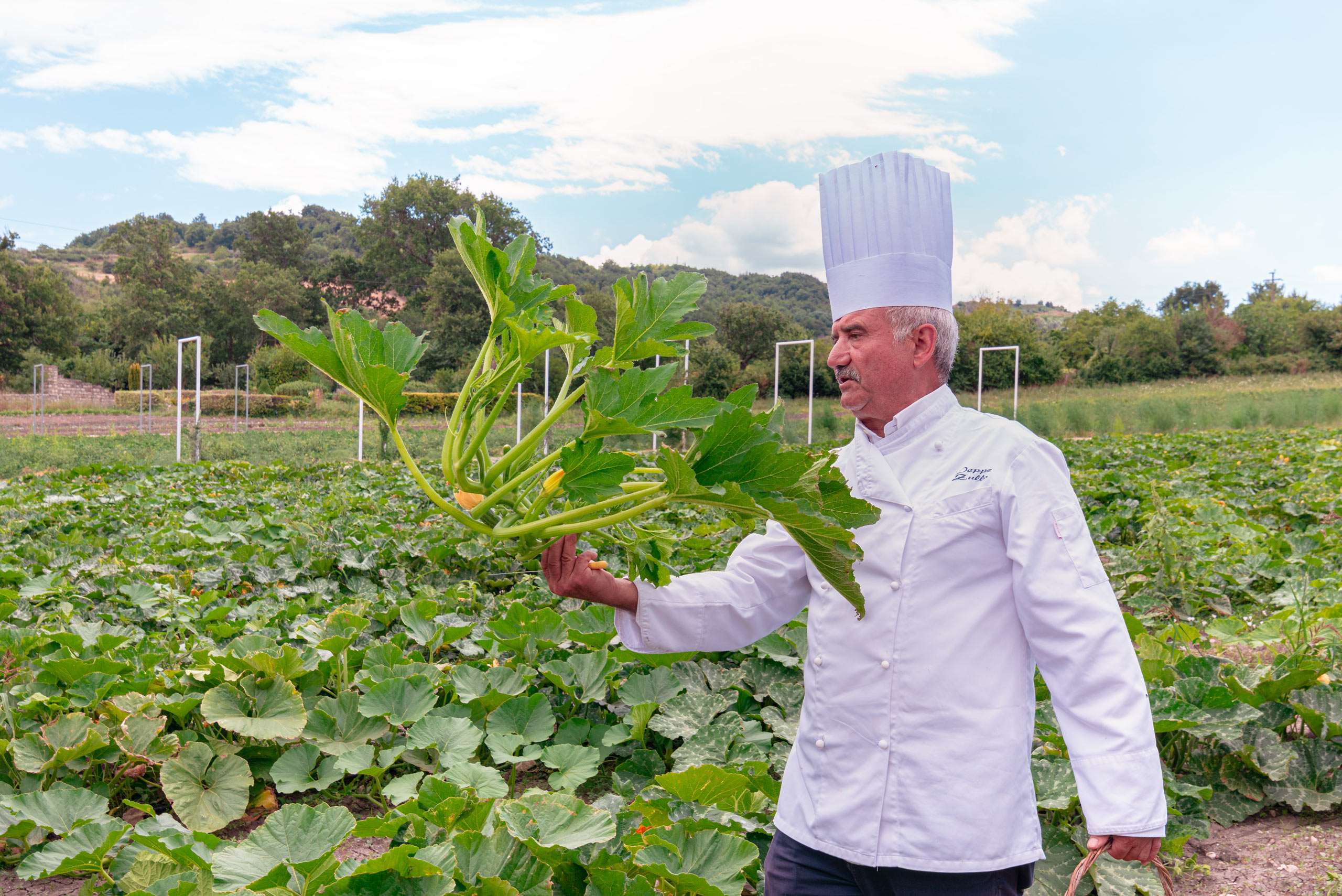 Peppe zullo's vegetable garden in Orsara di Puglia