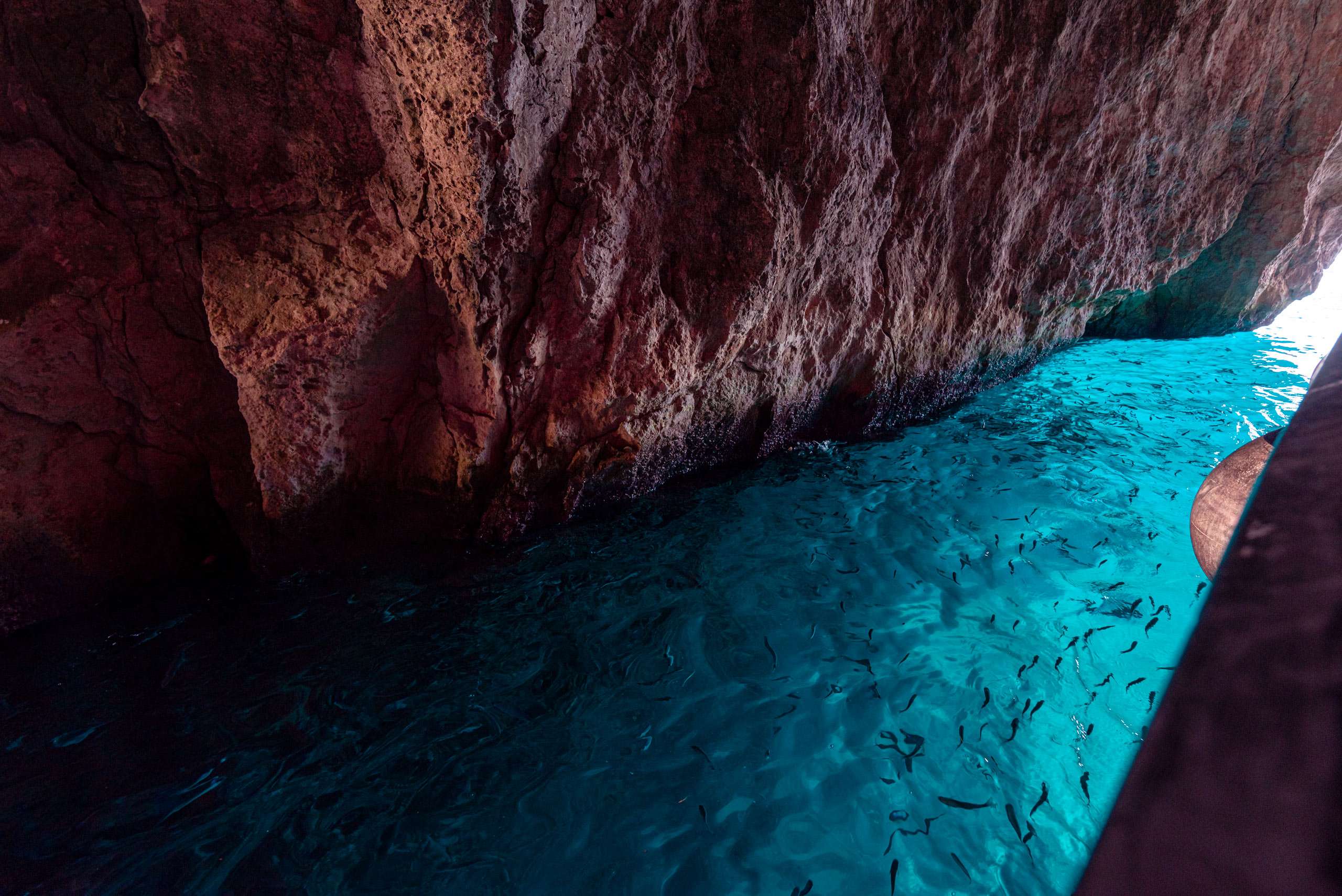 Cave of the San Domino Island | Tremiti Islands | Puglia